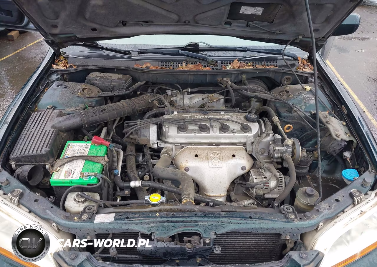 1999 Honda Accord Lx VIN:JHMCG5646XC023113 - 10