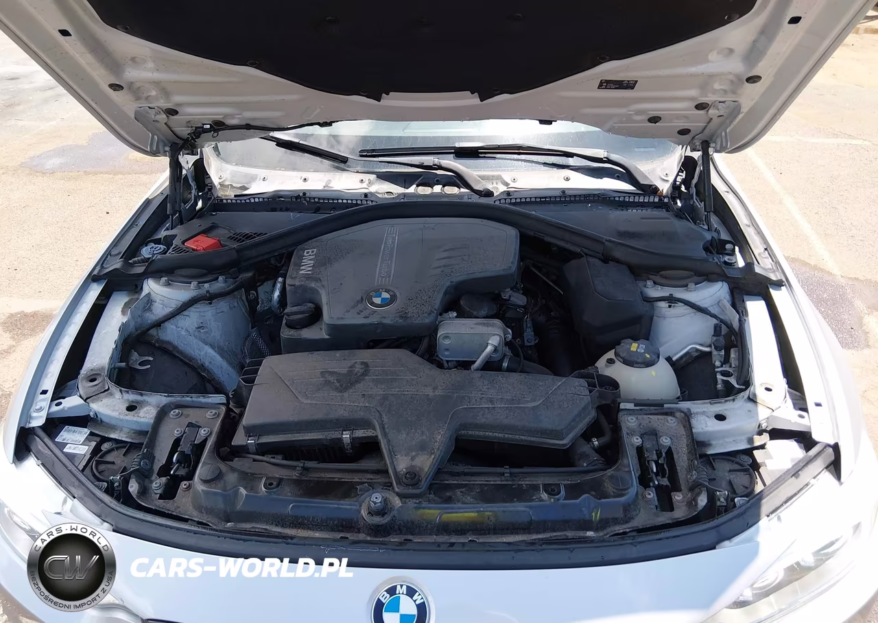 2015 BMW 428I VIN:WBA3N3C50FK234687 - 10
