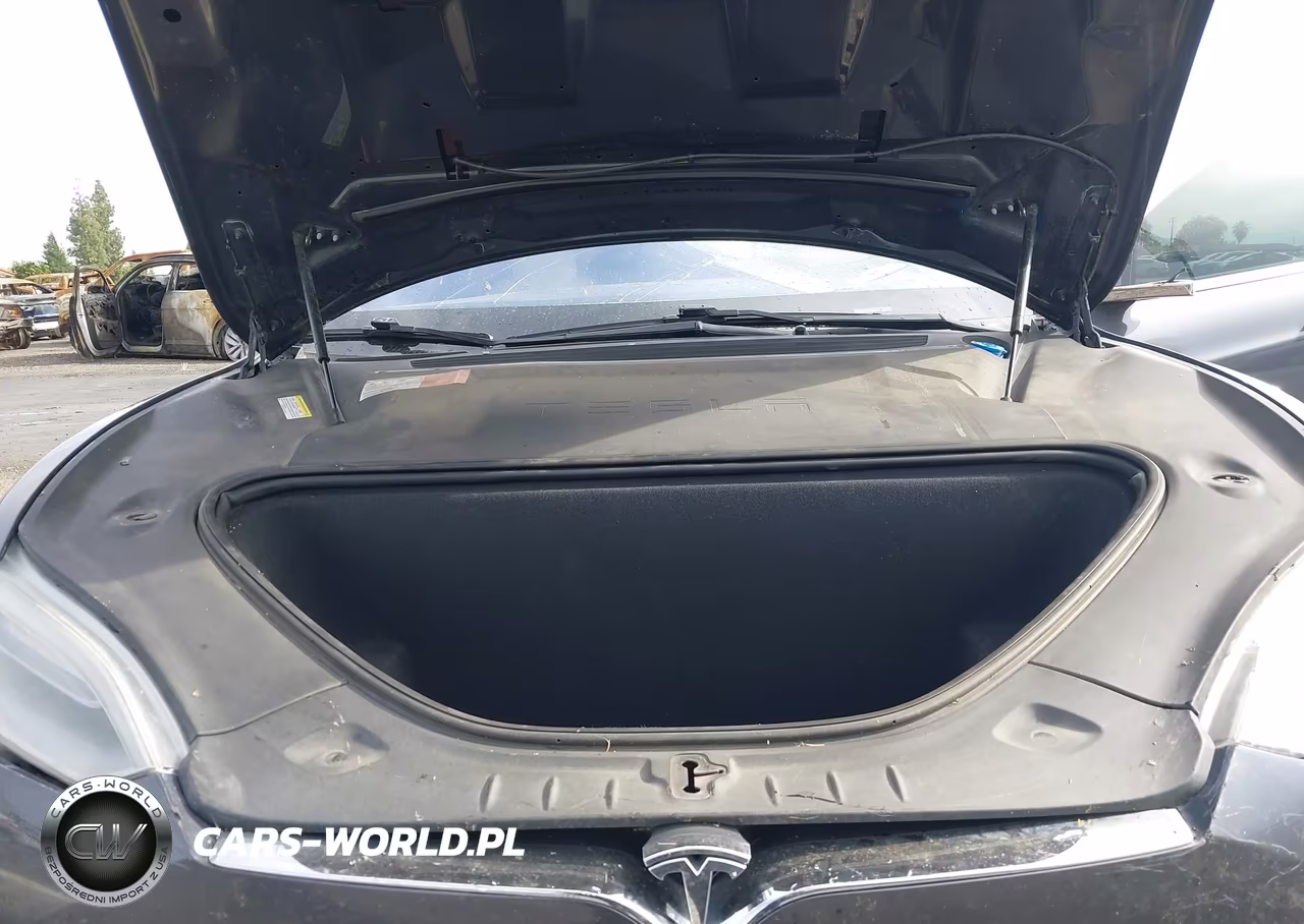 2016 Tesla Model S 90D-P100D-P85D-P90D VIN:5YJSA1E47GF162260 - 10