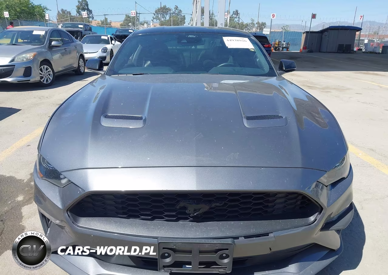 2022 Ford Mustang Ecoboost Premium Fastback VIN:1FA6P8TH6N5128815 - 11
