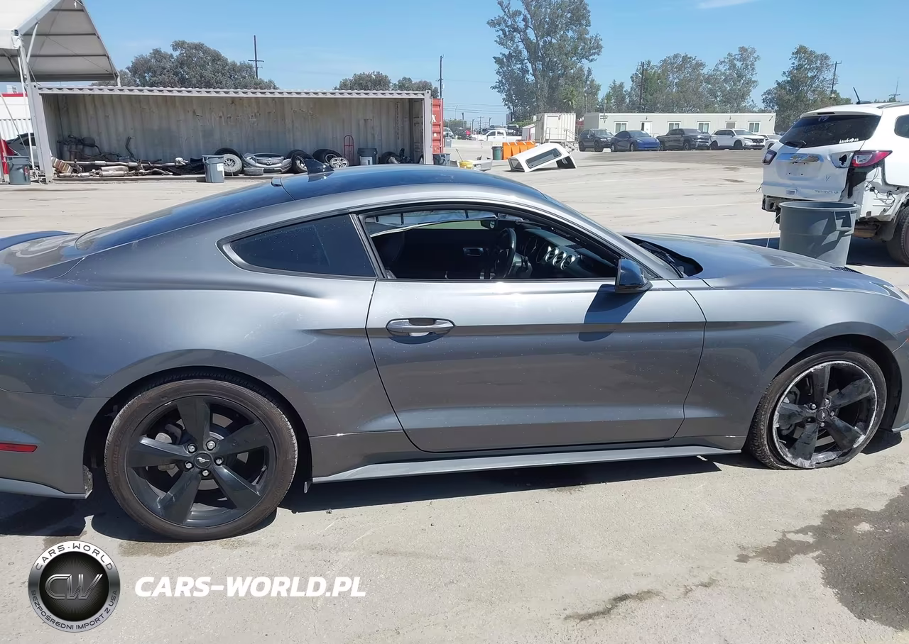 2022 Ford Mustang Ecoboost Premium Fastback VIN:1FA6P8TH6N5128815 - 12