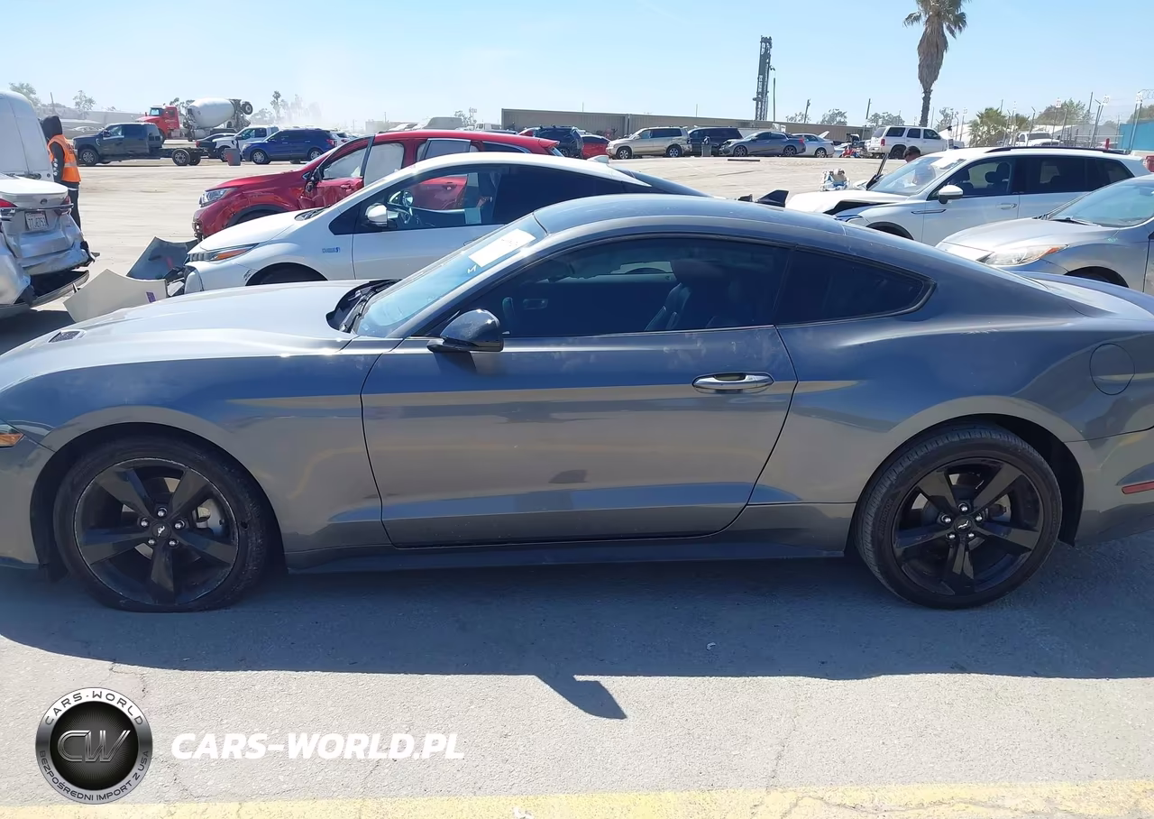 2022 Ford Mustang Ecoboost Premium Fastback VIN:1FA6P8TH6N5128815 - 13