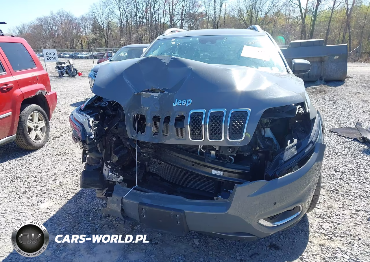 2021 Jeep Cherokee Limited 4X4 VIN:1C4PJMDNXMD102428 - 12