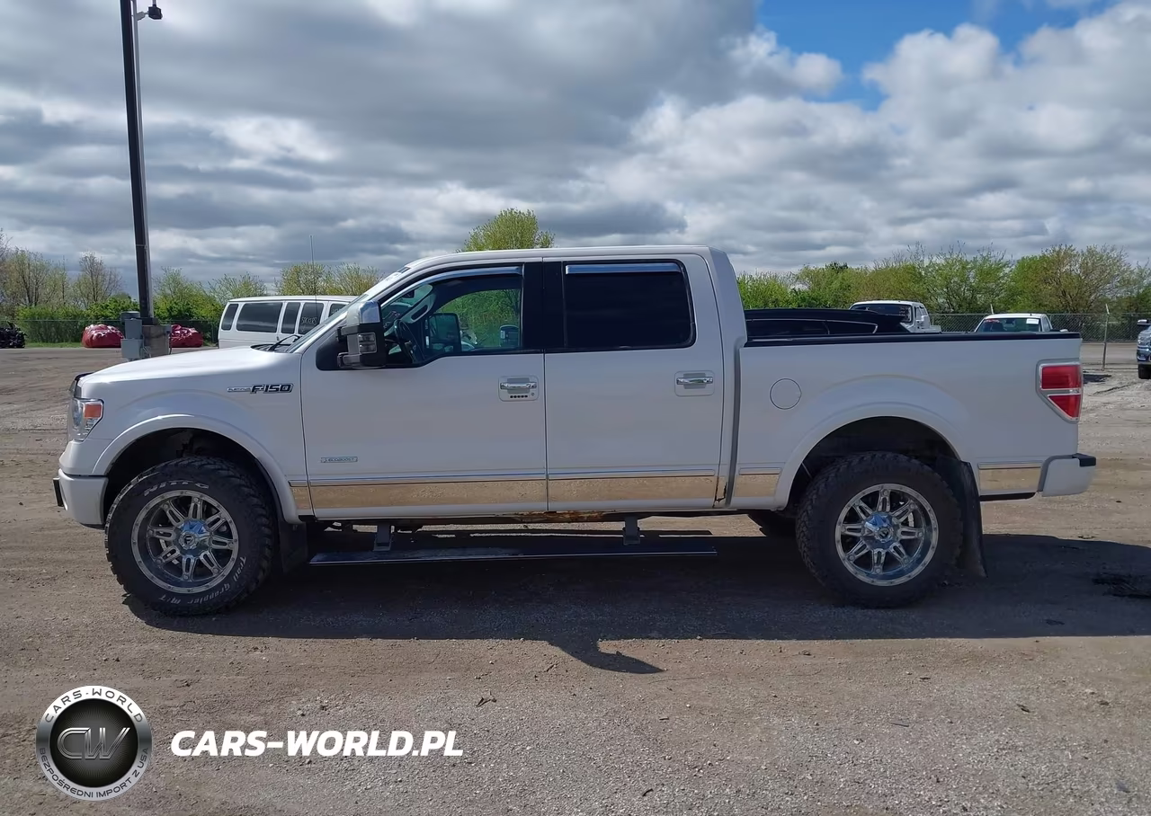 2014 Ford F-150 Platinum VIN:1FTFW1ET8EFA25864 - 14