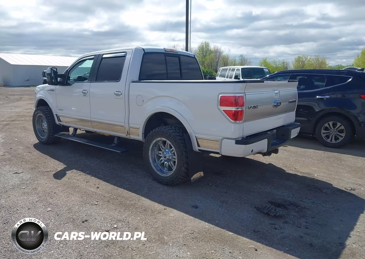 2014 Ford F-150 Platinum VIN:1FTFW1ET8EFA25864 - 3