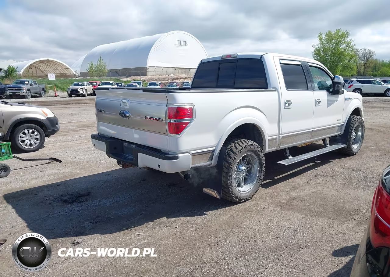 2014 Ford F-150 Platinum VIN:1FTFW1ET8EFA25864 - 4