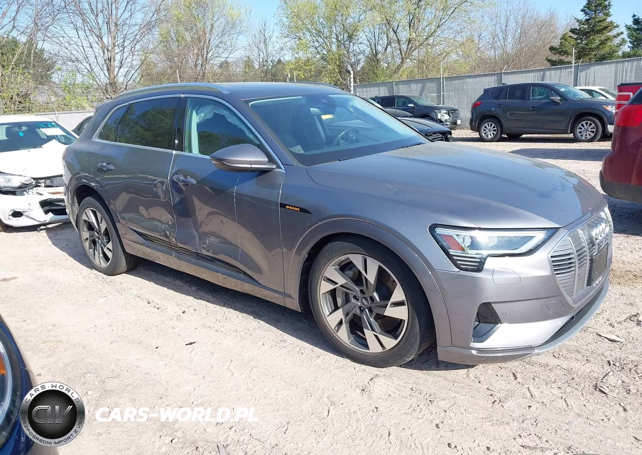 2021 Audi E-Tron Premium Quattro – zdjęcie 1 z 16