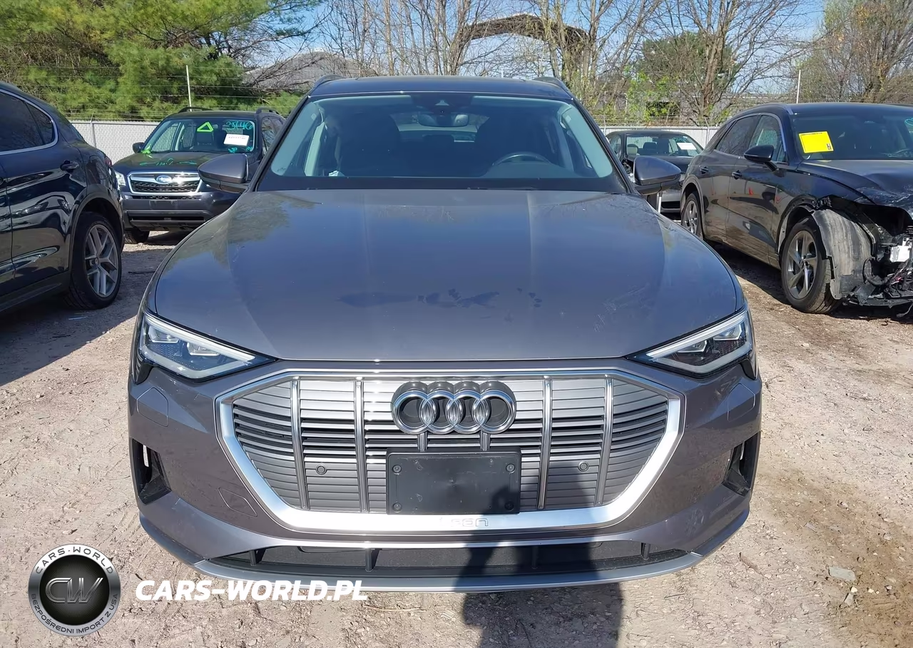 2021 Audi E-Tron Premium Quattro VIN:WA1AAAGE4MB016411 - 12