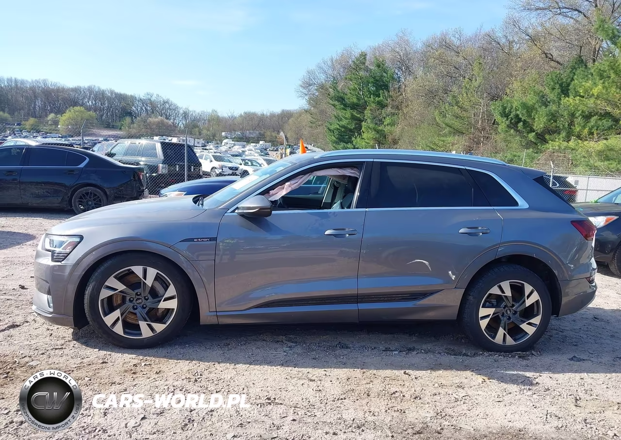 2021 Audi E-Tron Premium Quattro VIN:WA1AAAGE4MB016411 - 14