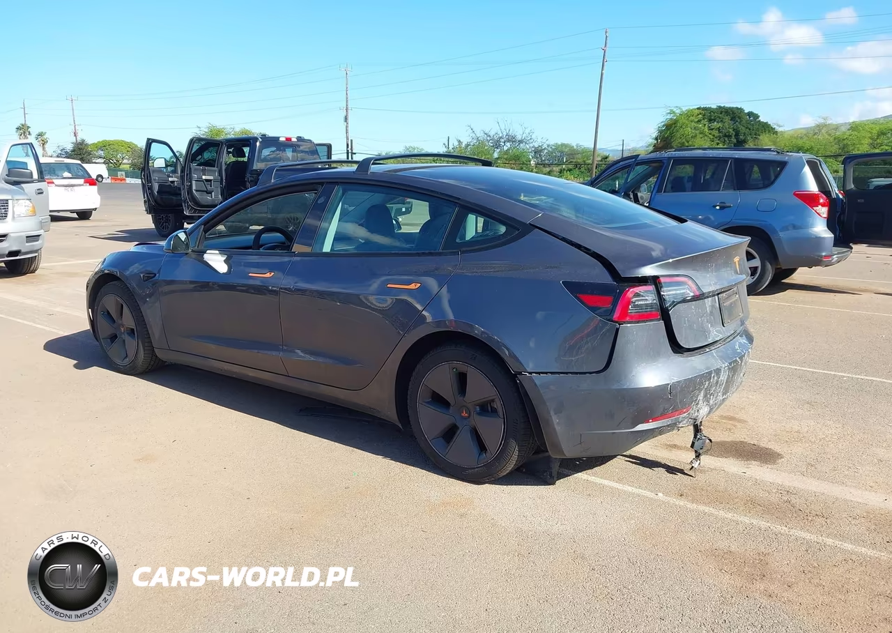 2023 Tesla Model 3 Rear-Wheel Drive VIN:5YJ3E1EA3PF420630 - 3