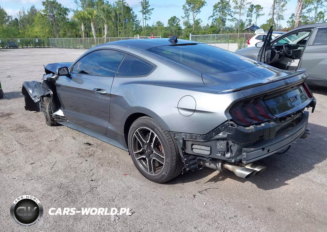 2021 Ford Mustang Gt Fastback VIN:1FA6P8CF5M5156375 - 3