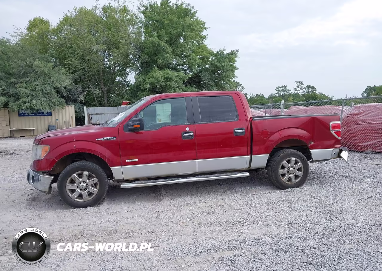 2013 Ford F-150 Xlt VIN:1FTFW1CT0DFC39698 - 15