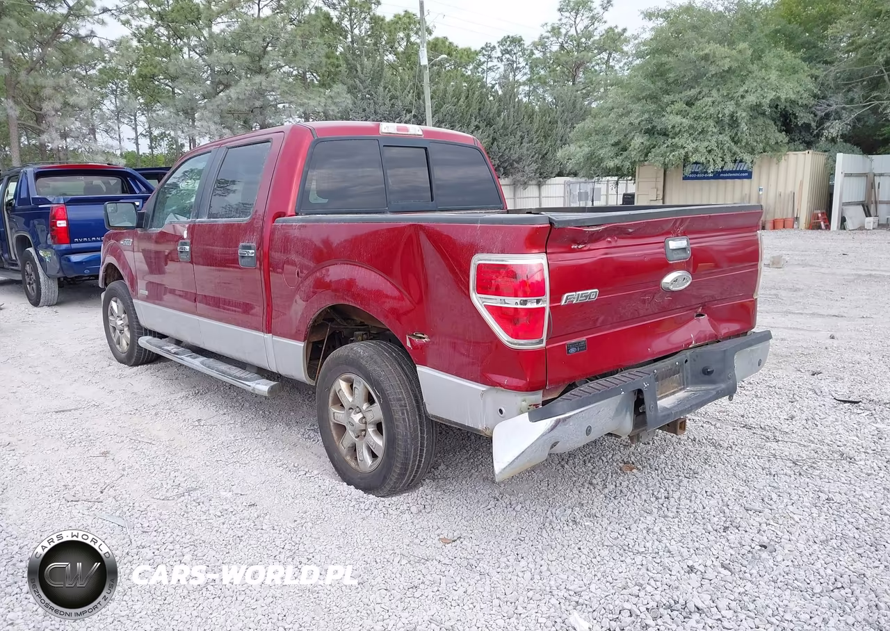 2013 Ford F-150 Xlt VIN:1FTFW1CT0DFC39698 - 3