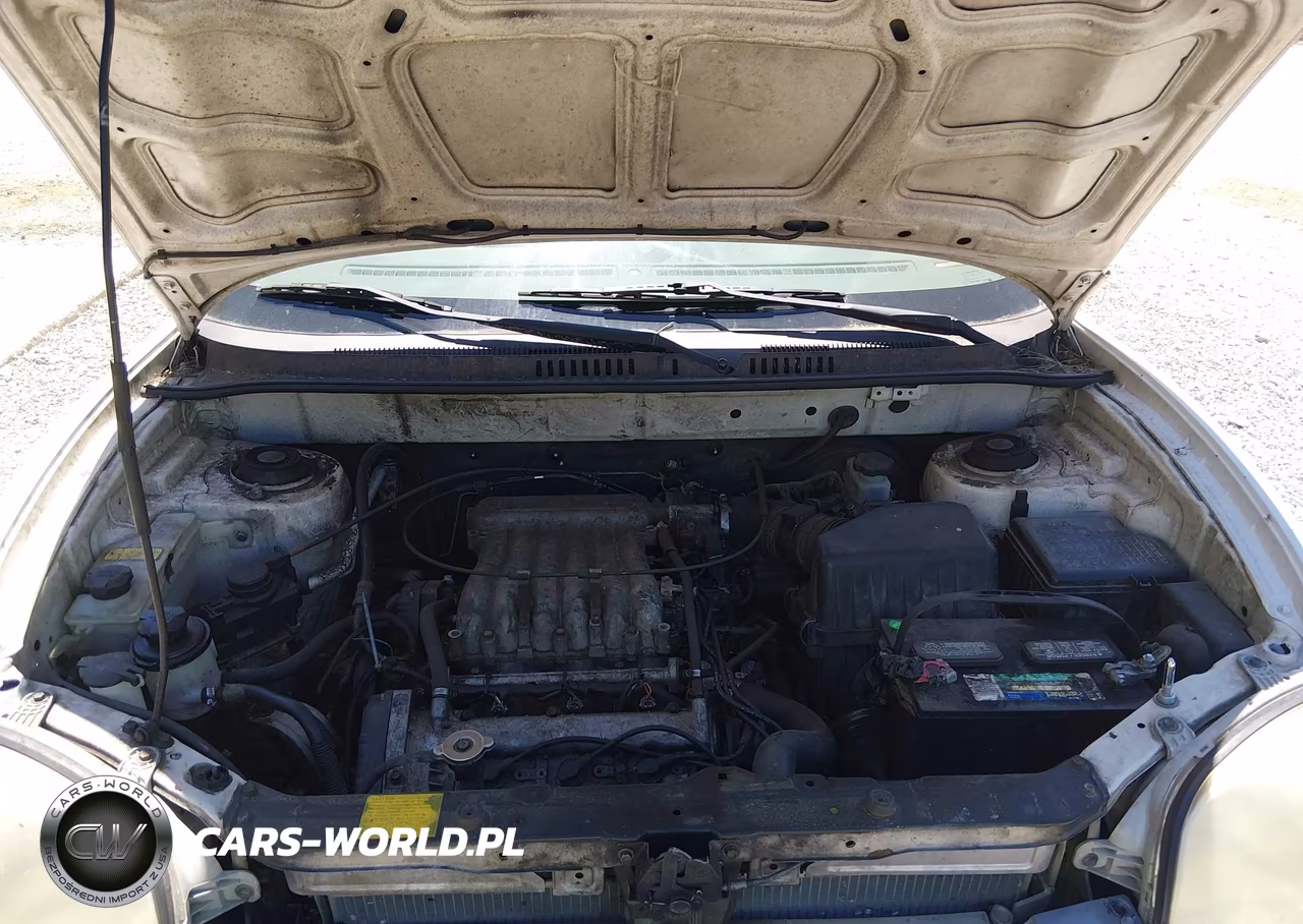 2001 Hyundai Santa Fe 2.7L V6 Gls-2.7L V6 Lx VIN:KM8SC83D91U125257 - 10