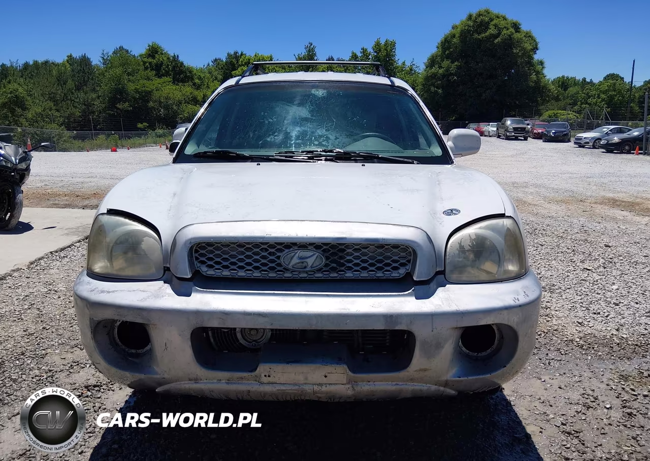 2001 Hyundai Santa Fe 2.7L V6 Gls-2.7L V6 Lx VIN:KM8SC83D91U125257 - 6