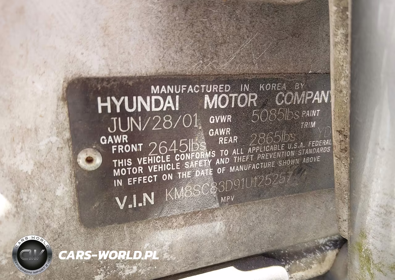 2001 Hyundai Santa Fe 2.7L V6 Gls-2.7L V6 Lx VIN:KM8SC83D91U125257 - 9