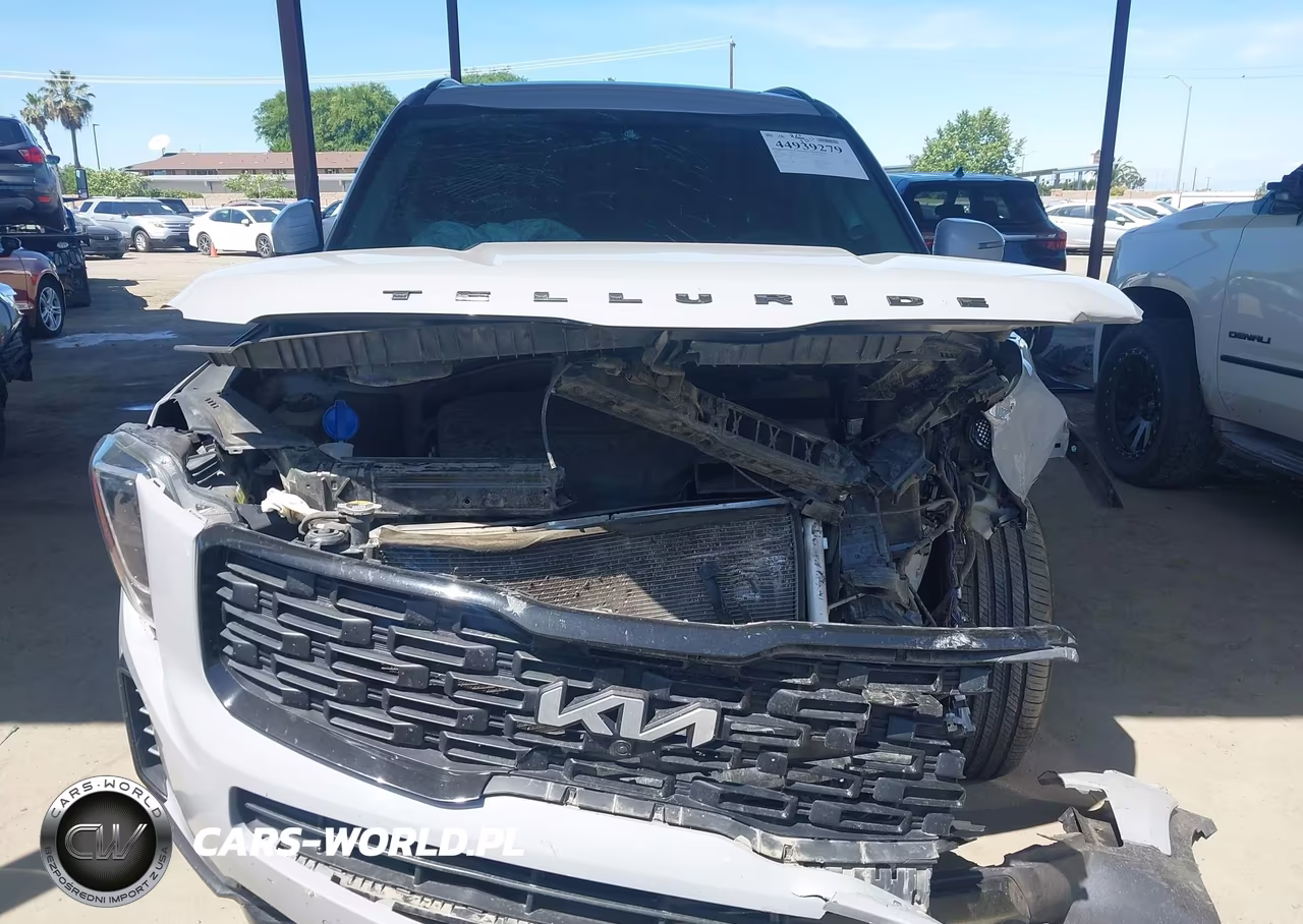 2022 Kia Telluride Sx VIN:5XYP5DHC3NG195471 - 13