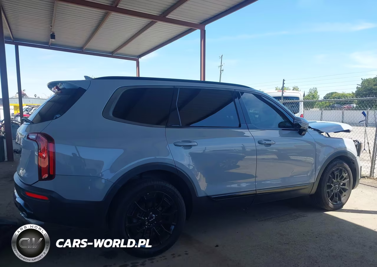 2022 Kia Telluride Sx VIN:5XYP5DHC3NG195471 - 14