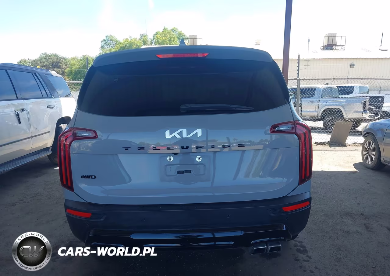 2022 Kia Telluride Sx VIN:5XYP5DHC3NG195471 - 17