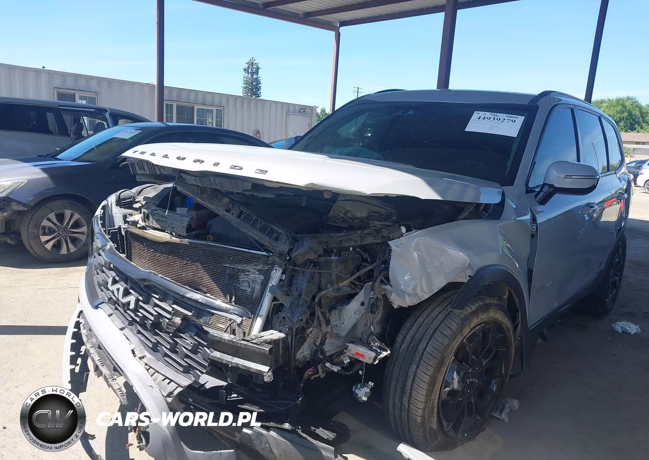 2022 Kia Telluride Sx VIN:5XYP5DHC3NG195471 - 2