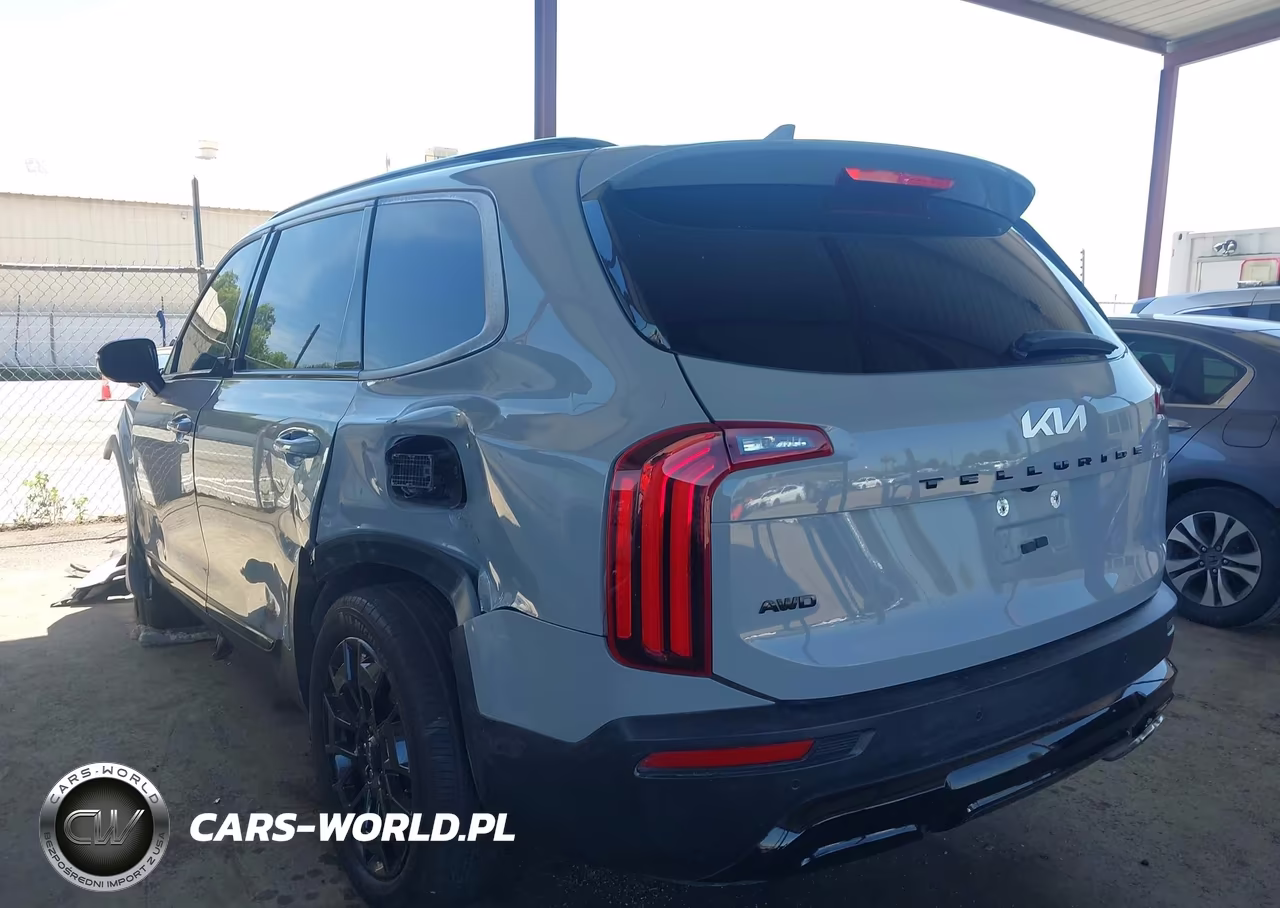 2022 Kia Telluride Sx VIN:5XYP5DHC3NG195471 - 3