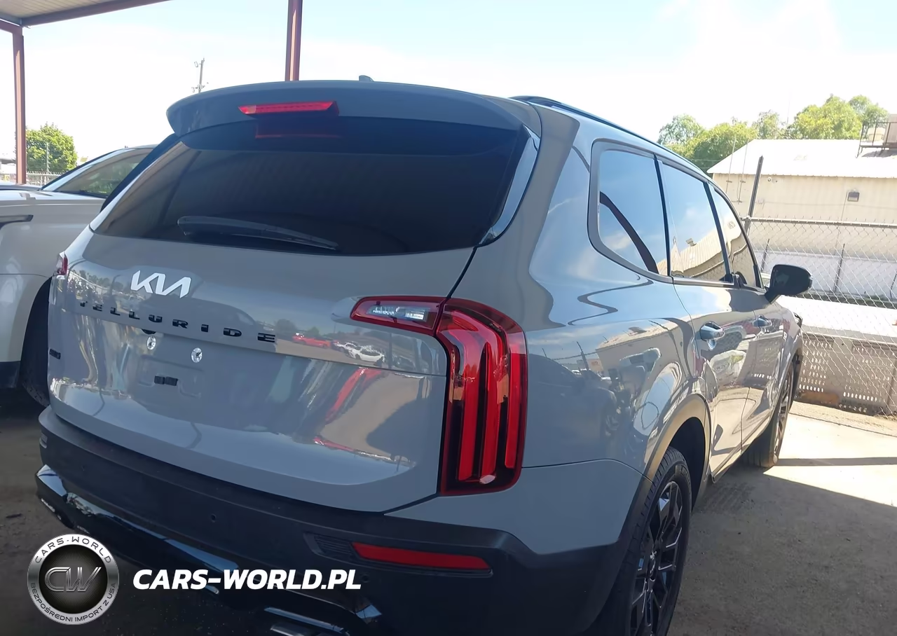 2022 Kia Telluride Sx VIN:5XYP5DHC3NG195471 - 4