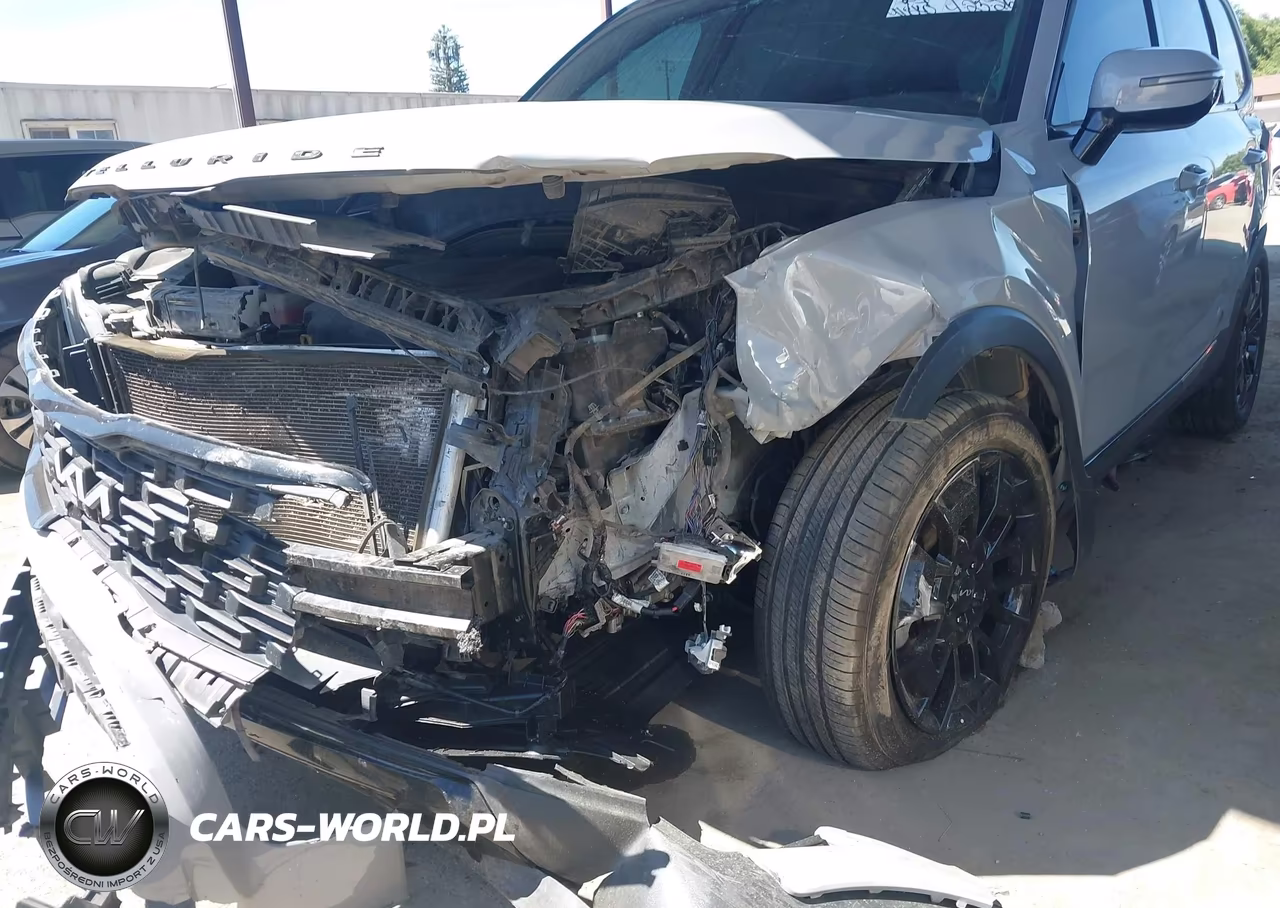 2022 Kia Telluride Sx VIN:5XYP5DHC3NG195471 - 6