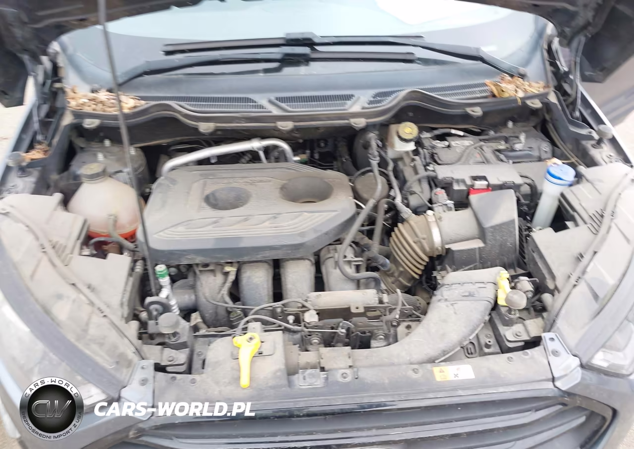 2019 Ford Ecosport Ses VIN:MAJ6S3JL6KC307601 - 10