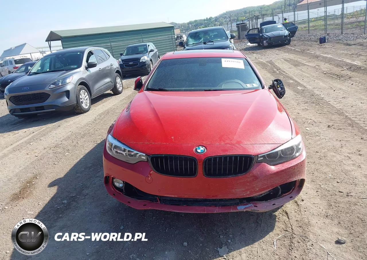 2019 BMW 430I Gran Coupe xDrive VIN:WBA4J3C56KBL09371 - 13