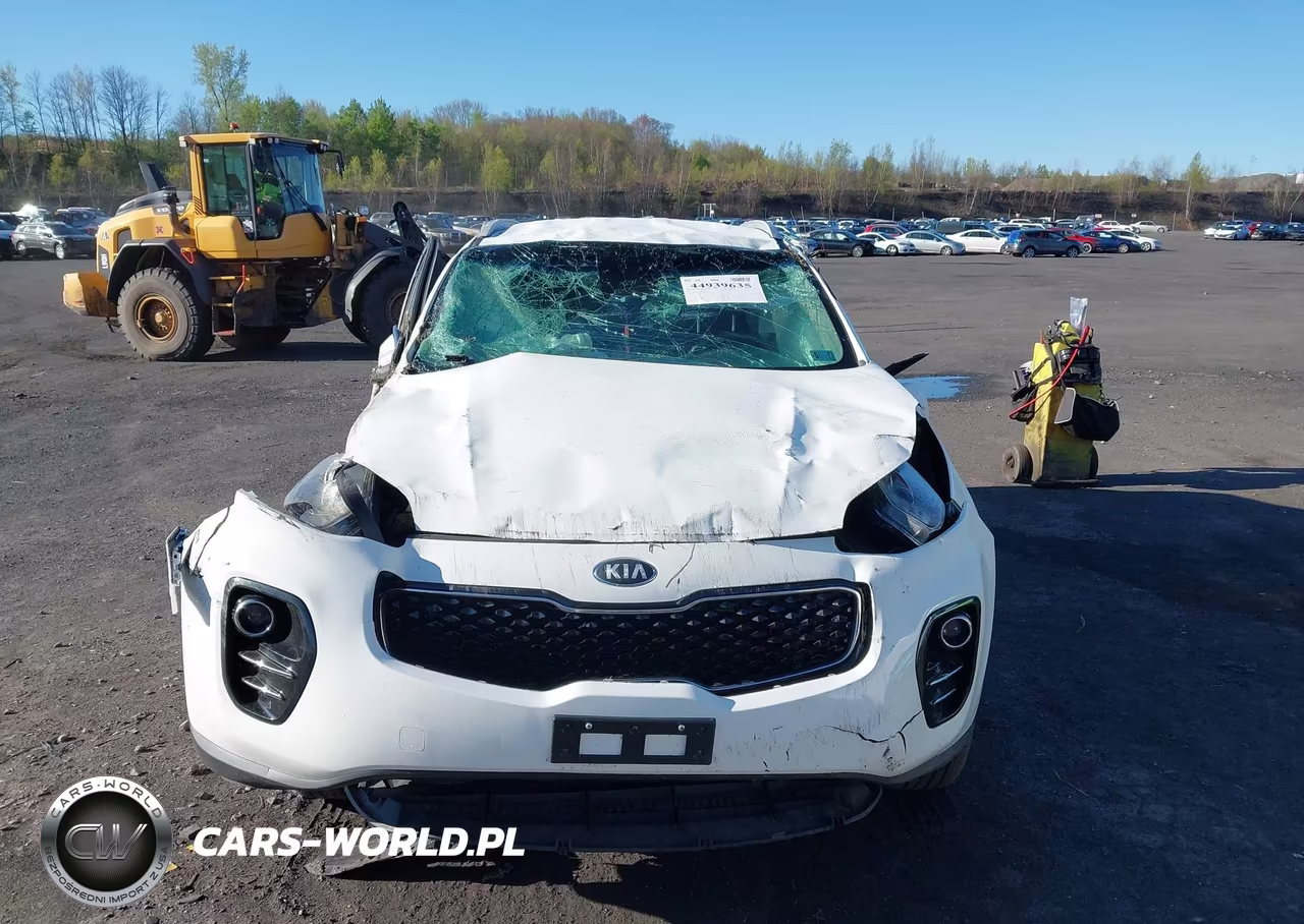 2018 Kia Sportage Lx VIN:KNDPMCAC0J7446431 - 12