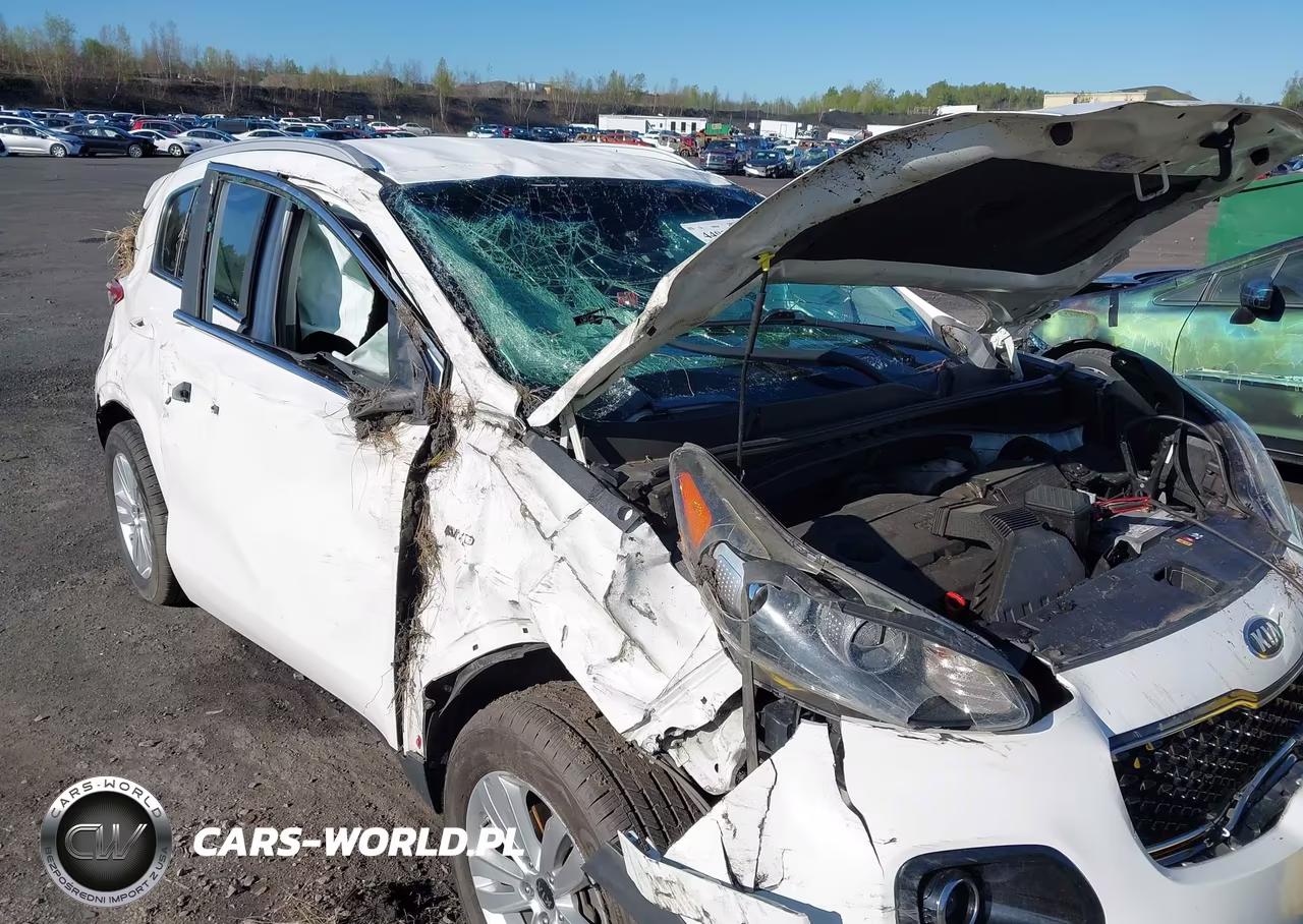 2018 Kia Sportage Lx VIN:KNDPMCAC0J7446431 - 6