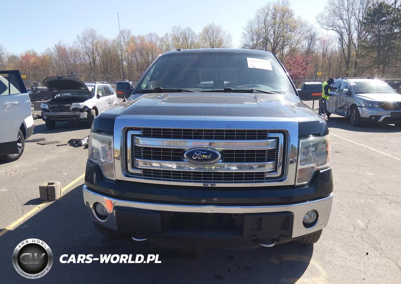2013 Ford F-150 Xlt VIN:1FTFW1ET4DKD44801 - 12