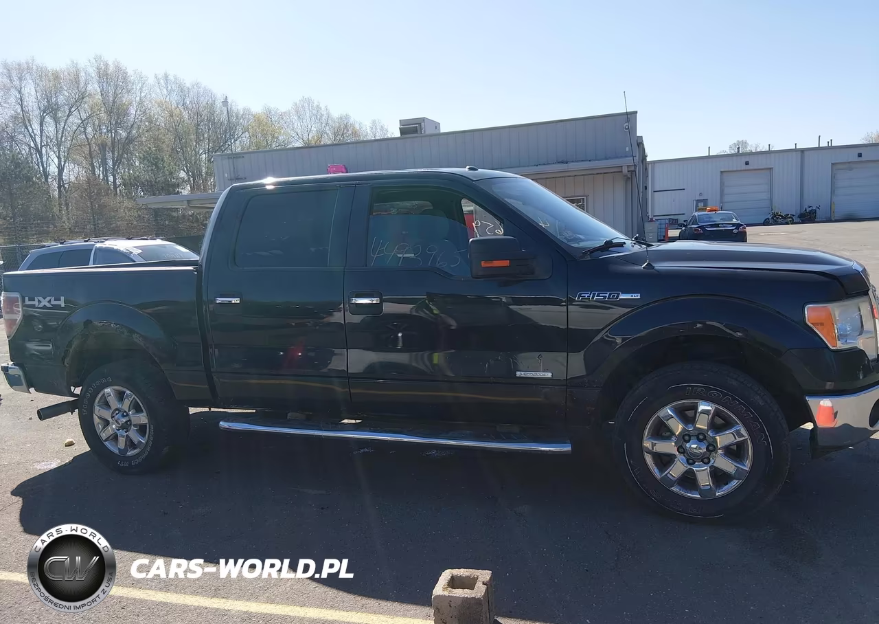 2013 Ford F-150 Xlt VIN:1FTFW1ET4DKD44801 - 13