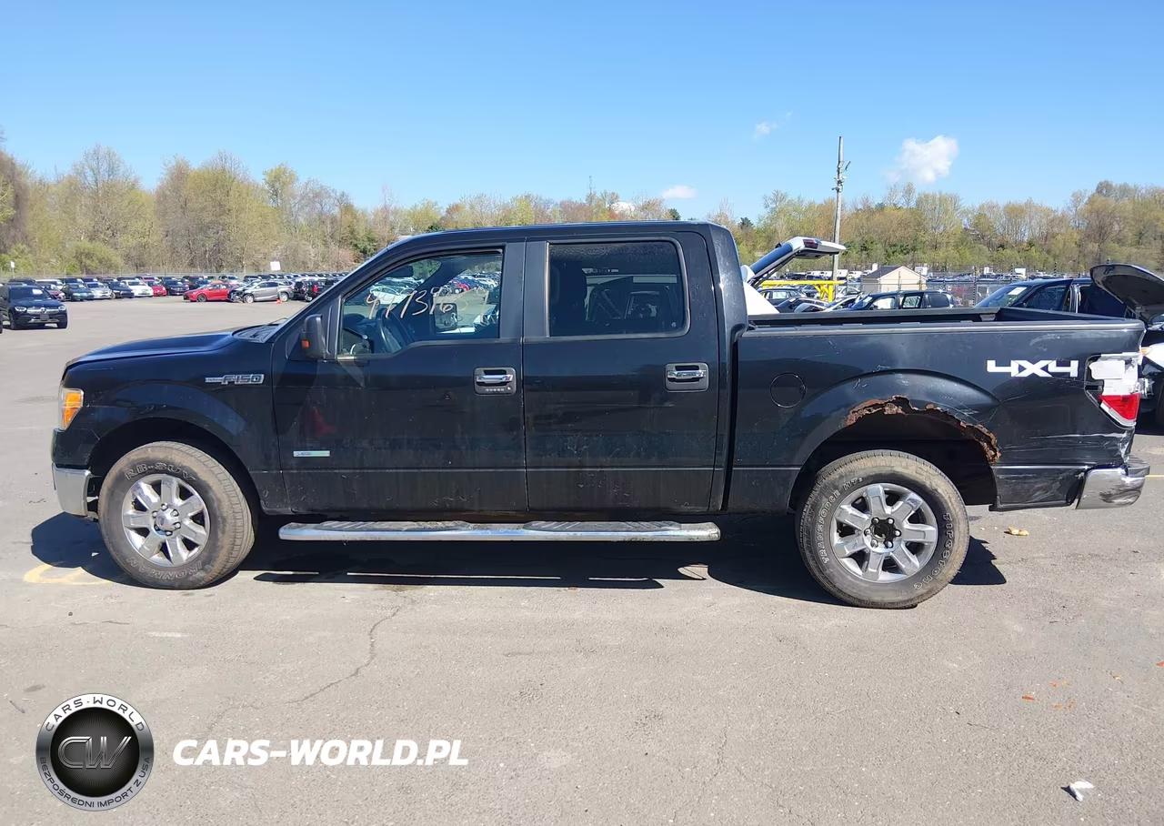2013 Ford F-150 Xlt VIN:1FTFW1ET4DKD44801 - 14