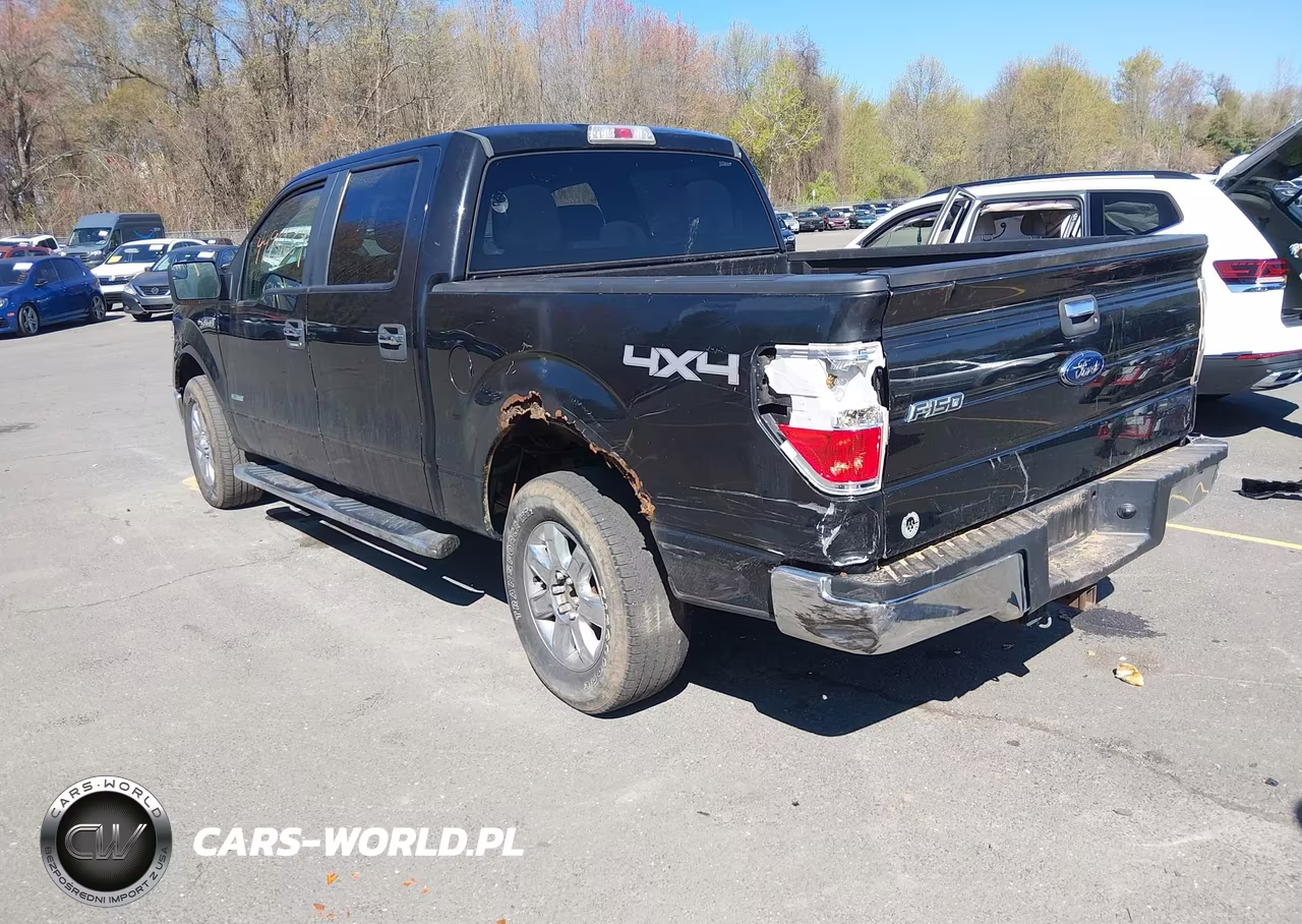 2013 Ford F-150 Xlt VIN:1FTFW1ET4DKD44801 - 3
