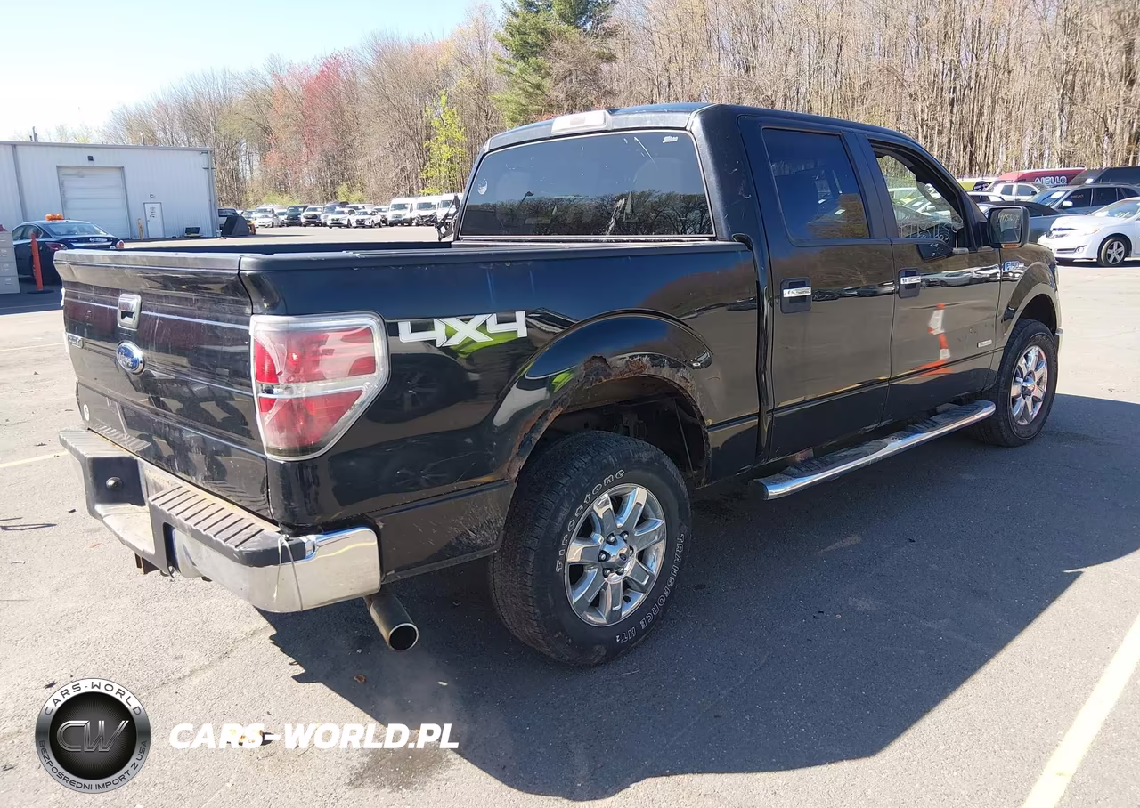 2013 Ford F-150 Xlt VIN:1FTFW1ET4DKD44801 - 4