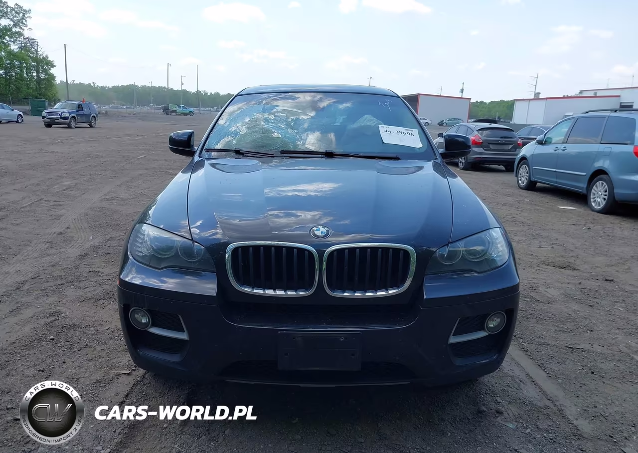 2013 BMW X6 xDrive35I VIN:5UXFG2C55DL788379 - 11