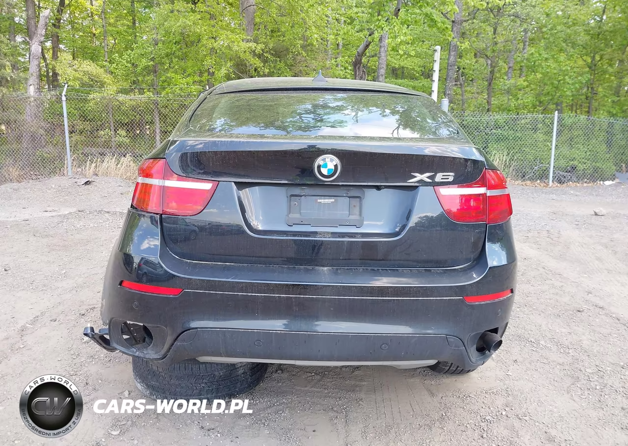 2013 BMW X6 xDrive35I VIN:5UXFG2C55DL788379 - 15