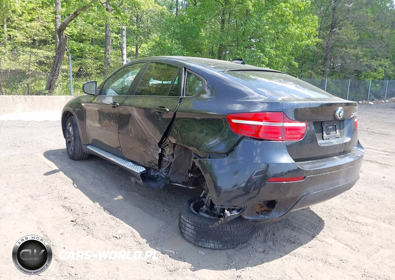 2013 BMW X6 xDrive35I VIN:5UXFG2C55DL788379 - 3