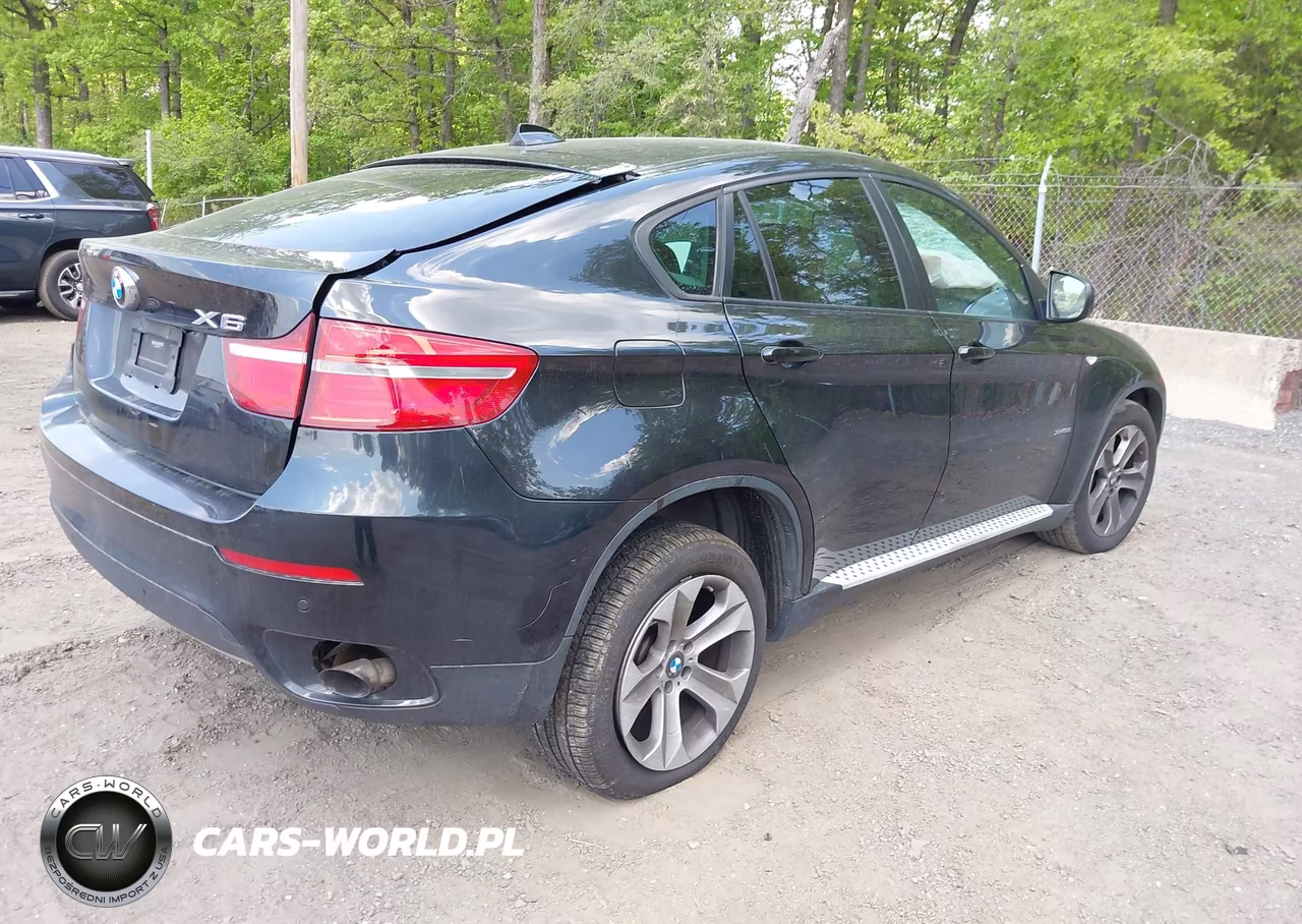 2013 BMW X6 xDrive35I VIN:5UXFG2C55DL788379 - 4