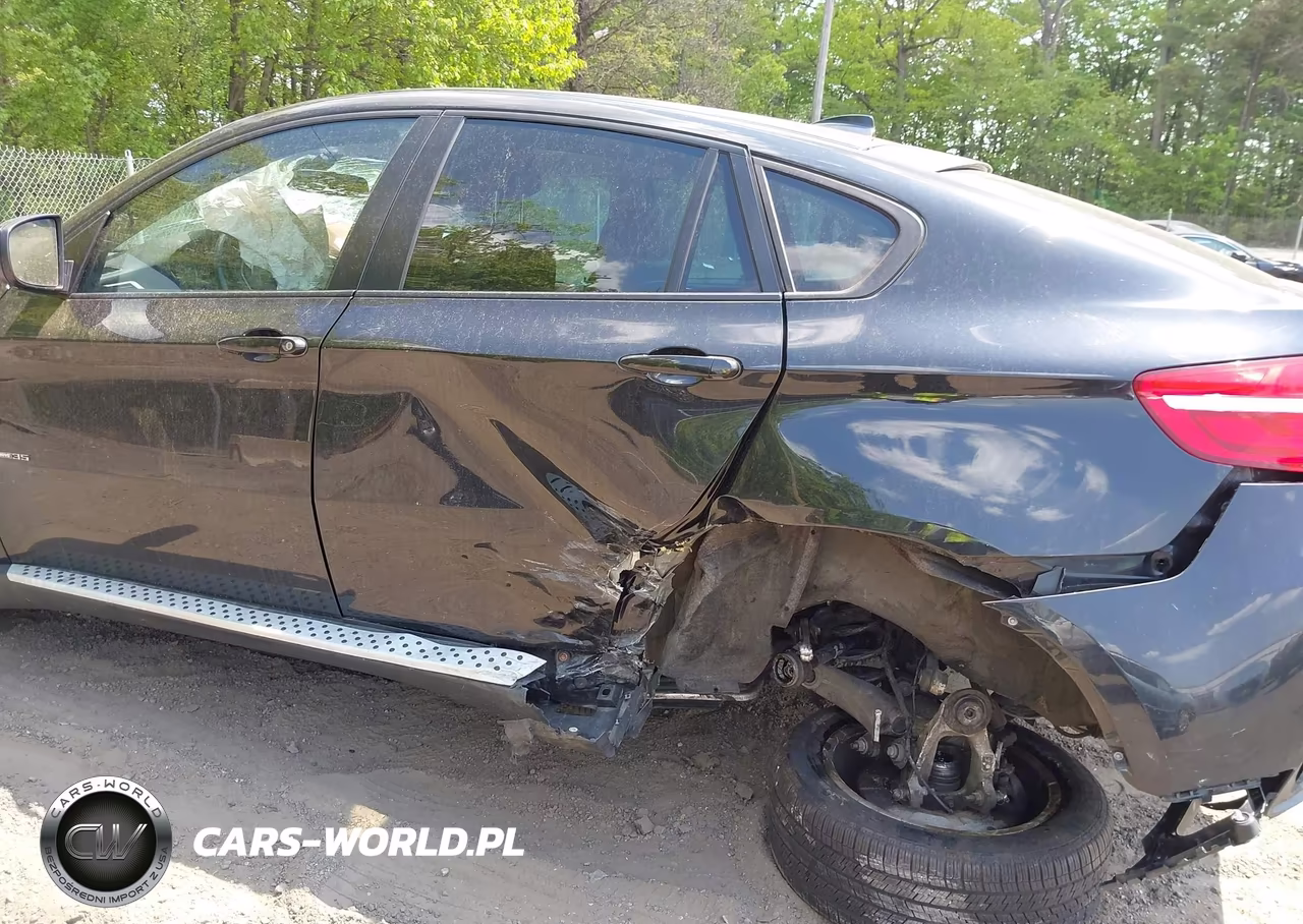 2013 BMW X6 xDrive35I VIN:5UXFG2C55DL788379 - 6
