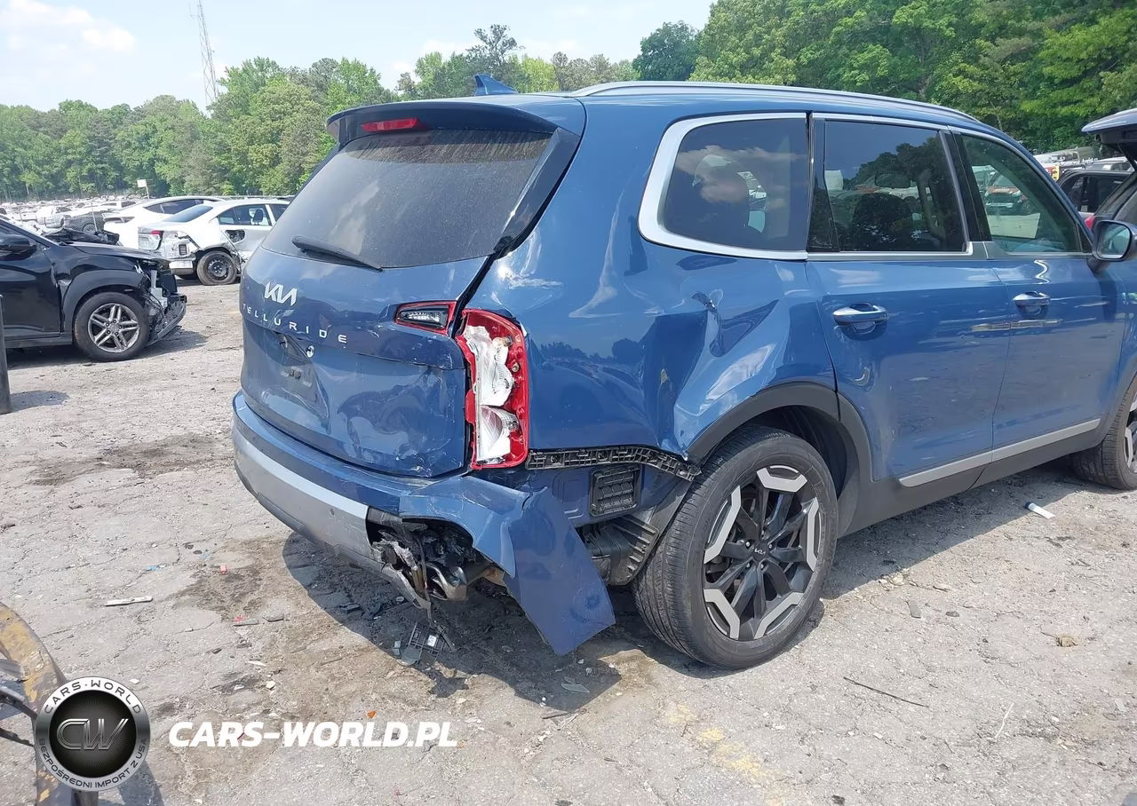 2023 Kia Telluride S VIN:5XYP64GC5PG349700 - 6