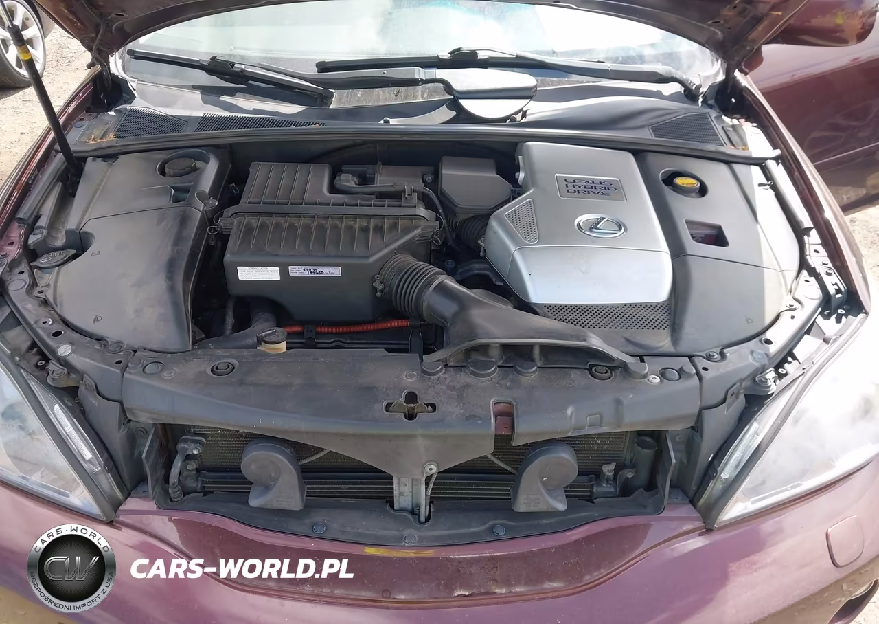 2008 Lexus Rx 400H VIN:JTJHW31U182050021 - 10