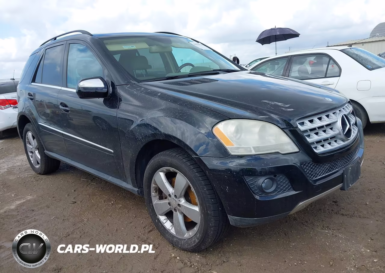 2010 Mercedes-Benz Ml 350 4Matic