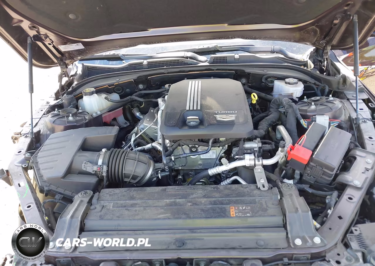 2021 Cadillac Ct4 Premium Luxury VIN:1G6DB5RK8M0146832 - 10