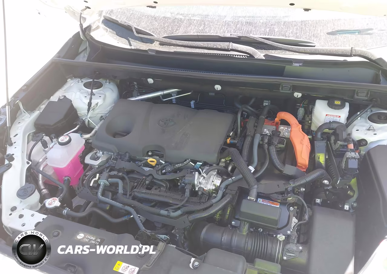2025 Toyota Rav4 Hybrid Xle VIN:4T3RWRFVXSU214134 - 10