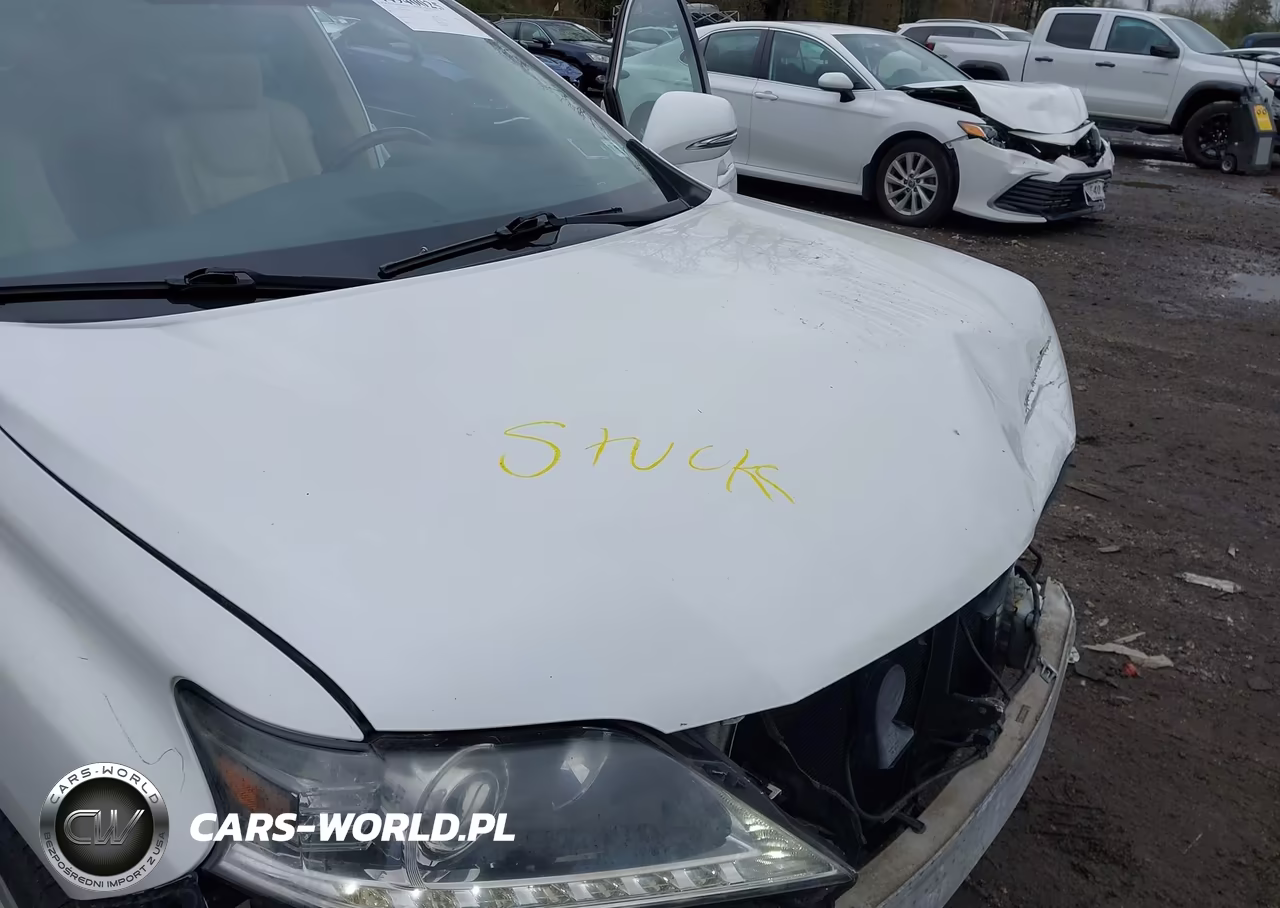 2013 Lexus Rx 350 VIN:2T2BK1BA0DC224827 - 10