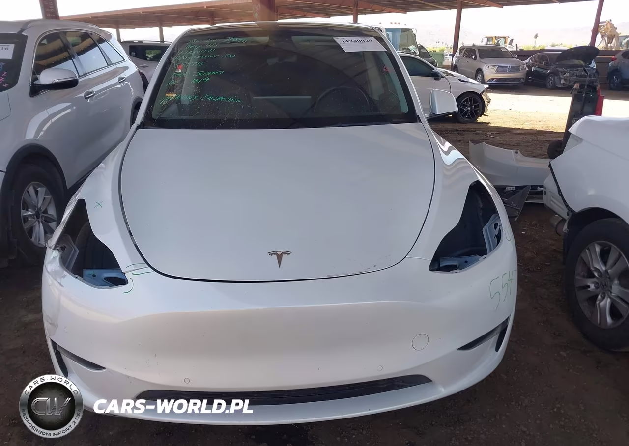 2022 Tesla Model Y Performance Dual Motor All-Wheel Drive VIN:7SAYGDEF5NF554715 - 12