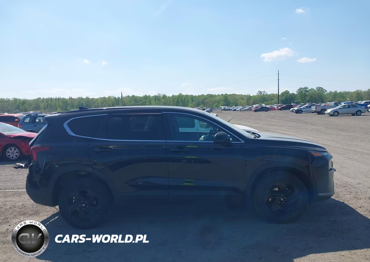 2021 Hyundai Santa Fe Se VIN:5NMS1DAJ8MH369831 - 13