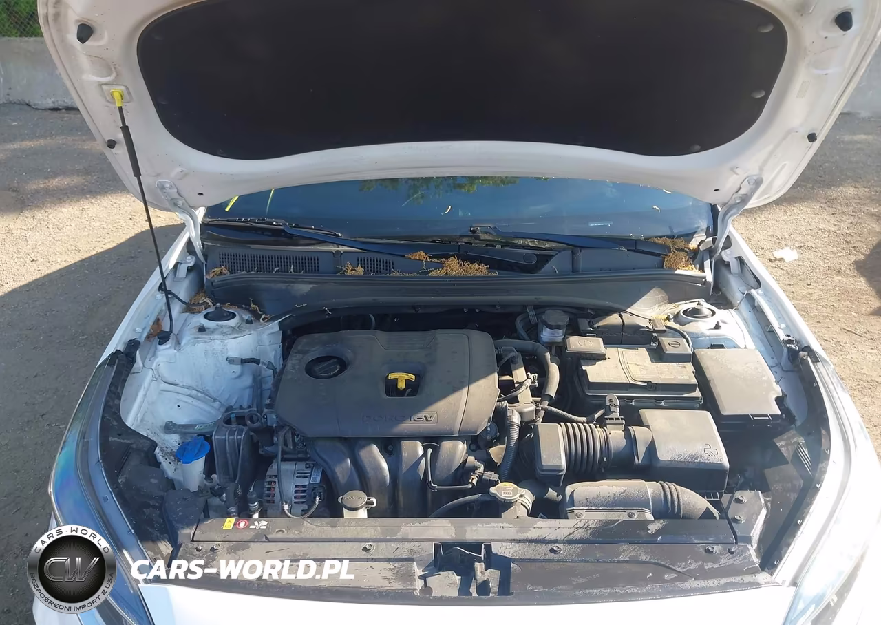 2022 Kia Forte Gt-Line VIN:3KPF54AD6NE481794 - 10